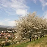 Domaine Lyon Saint Joseph Ξενοδοχείο Sainte-Foy-lès-Lyon