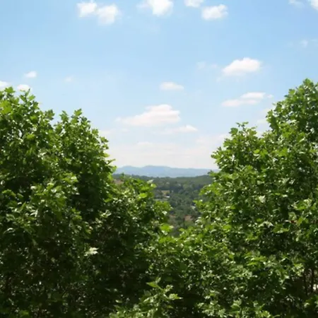 Domaine Lyon Saint Joseph