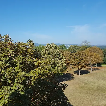 Domaine Lyon Saint Joseph 3*